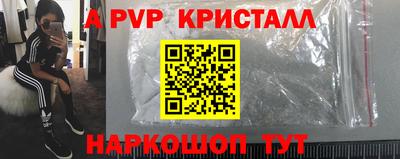 стаф Канаш