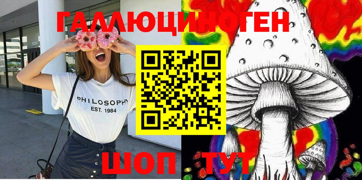 где купить   Галлюциногенные грибы мицелий  Вход с VPN  Лесозаводск 