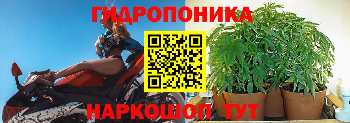Бошки Шишки конопля  Вход с VPN  Бошки марихуана Ganja  МАРИХУАНА Bruce Banner  Лесозаводск 